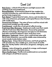 Load image into Gallery viewer, To The Moon Freshie