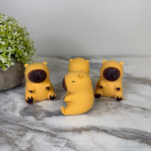 Load image into Gallery viewer, Squishy Toy - Capybara

