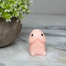 Load image into Gallery viewer, Squishy Toy - Adult Humor Penis
