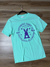 Load image into Gallery viewer, Seasonal Graphic Tees
