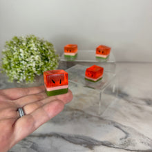 Load image into Gallery viewer, Squishy Toy - Ice Ice Baby Watermelon
