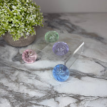 Load image into Gallery viewer, Squishy Toy - Ice Ice Baby Dumpling
