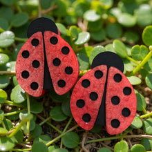 Load image into Gallery viewer, Ladybug Vents and Magnet
