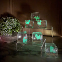 Load image into Gallery viewer, Squishy Toy - Ice Cube Glow In The Dark Duck
