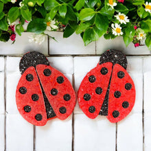 Load image into Gallery viewer, Lady Bug Magnets
