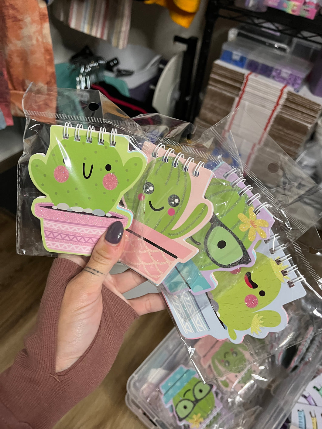 Cactus Mini Notebooks
