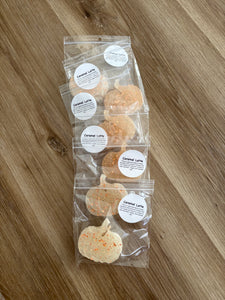 Mini Pumpkin Freshies