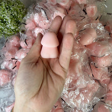Load image into Gallery viewer, Squishy Toy - Adult Humor Penis
