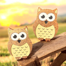 Load image into Gallery viewer, Owl Vent Clip Set
