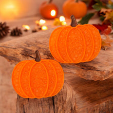 Load image into Gallery viewer, Pumpkin Vent Clip Set
