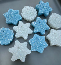 Load image into Gallery viewer, Holiday Minis
